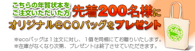 キラリ☆と輝く おしゃれな年賀状 2009 - インプレスブックス