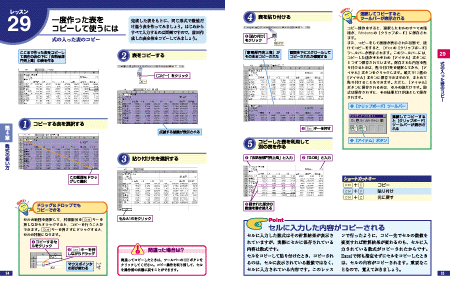 できる式問題集Excel 2000 解いて学んで力がつく