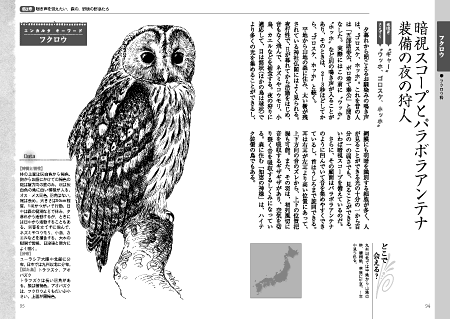 聴いて楽しむ野鳥100声 野鳥おもしろ雑学事典 - インプレスブックス