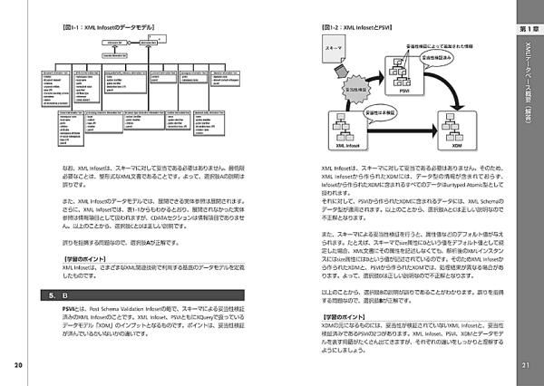 徹底攻略 XMLマスター:プロフェッショナル（データベース）問題集 [I10