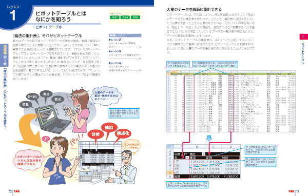 できるExcel ピボットテーブル 2007/2003/2002対応 大量データから瞬時