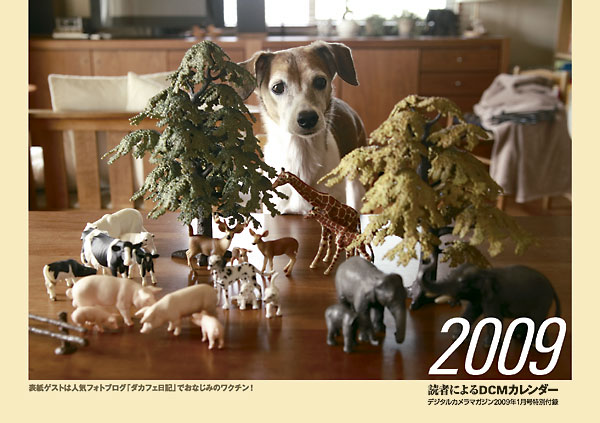 DCMカレンダー2009