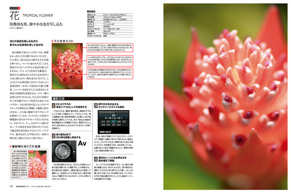キヤノン EOS 50D 完全ガイド - インプレスブックス